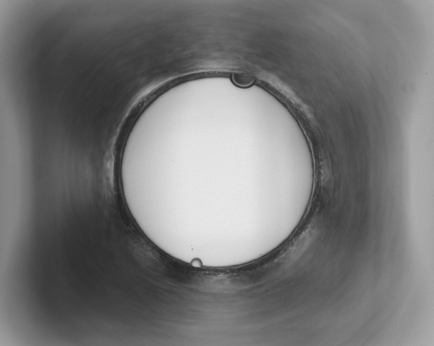 X0000101461222200807280953