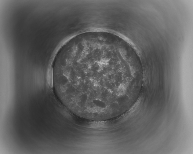 X0000101461223200807280953