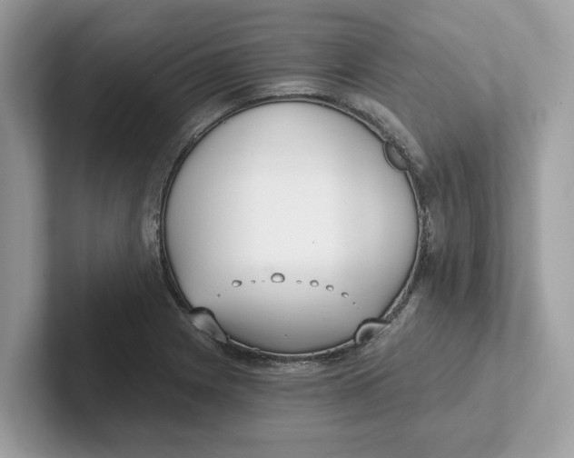 X0000101461225200807280953