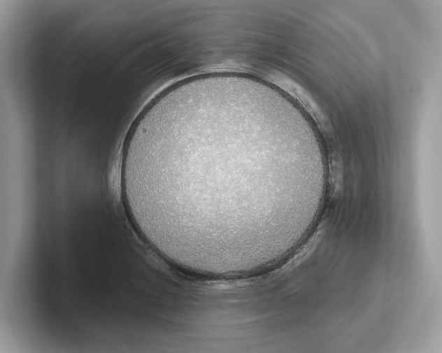 X0000101461228200807280953