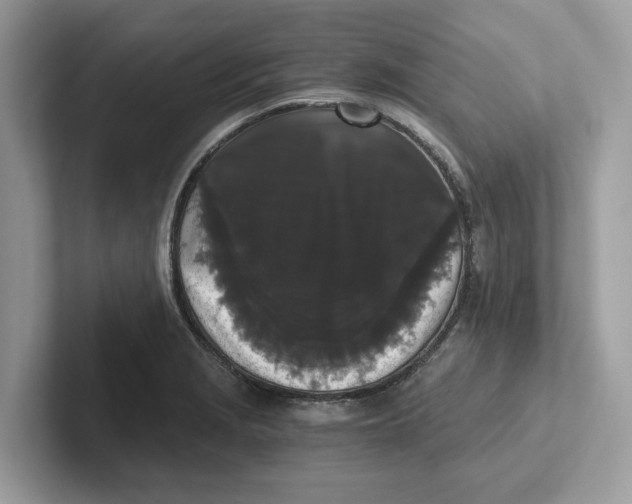 X0000101461229200807280953