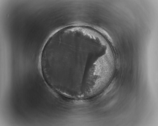 X0000101461231200807280953