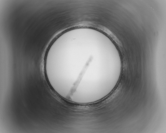 X0000101461232200807280953