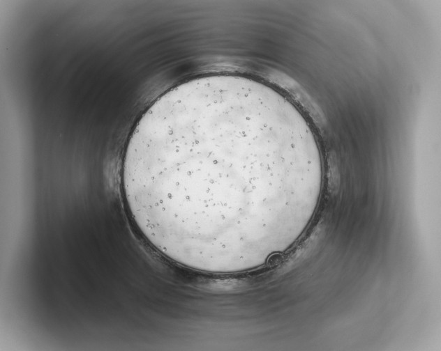 X0000101461233200807280953