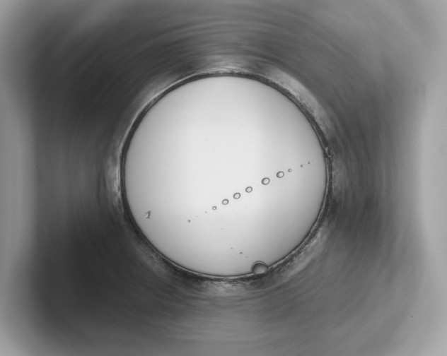 X0000101461234200807280953