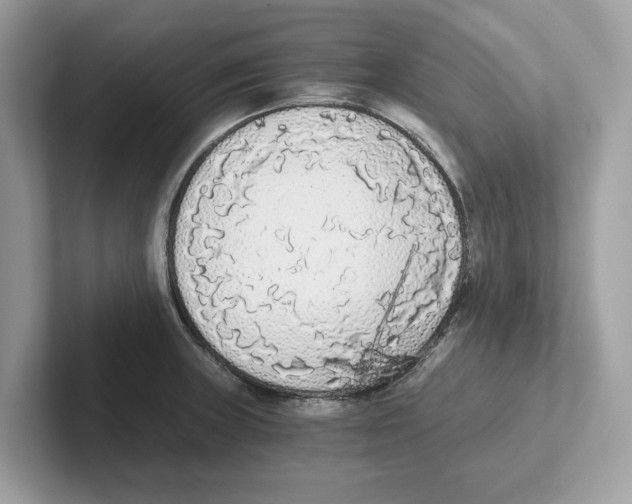 X0000101461235200807280953