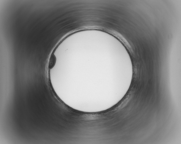 X0000101461236200807280953