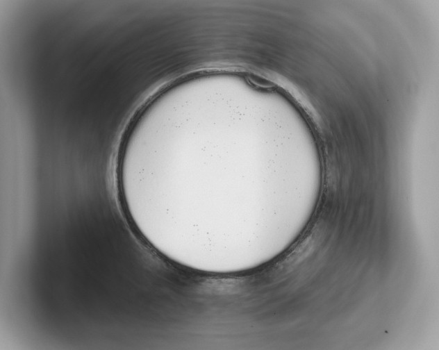 X0000101461237200807280953