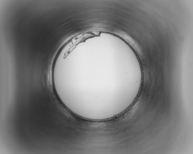 X0000101461238200807280953