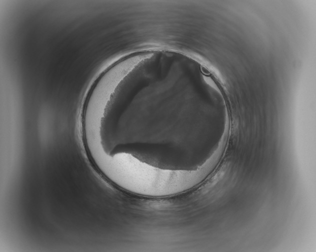 X0000101461239200807280953