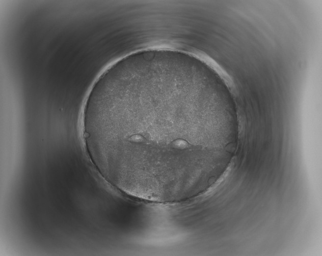 X0000101461240200807280953