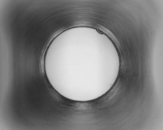 X0000101461242200807280953