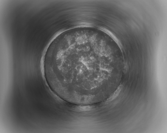 X0000101461243200807280953