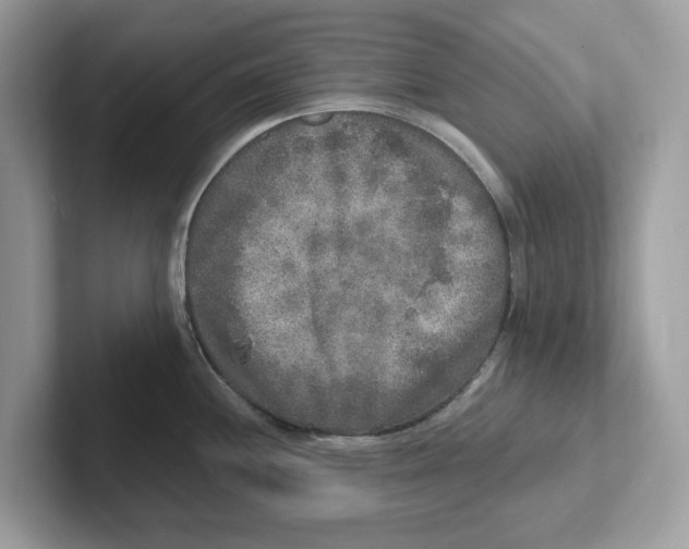 X0000101461244200807280953