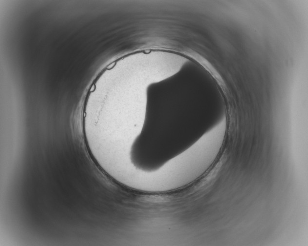 X0000101461246200807280953