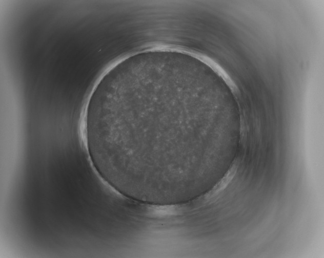 X0000101461247200807280953