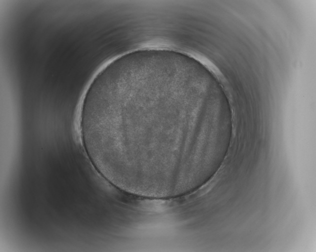 X0000101461248200807280953