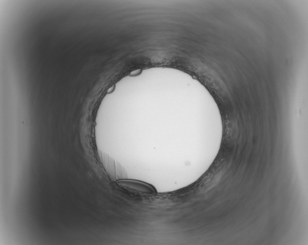 X0000101461249200807280952