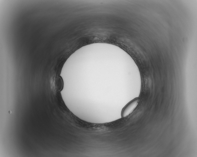 X0000101461250200807280952