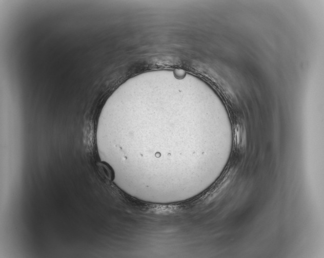 X0000101461251200807280952