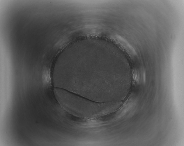 X0000101461252200807280952