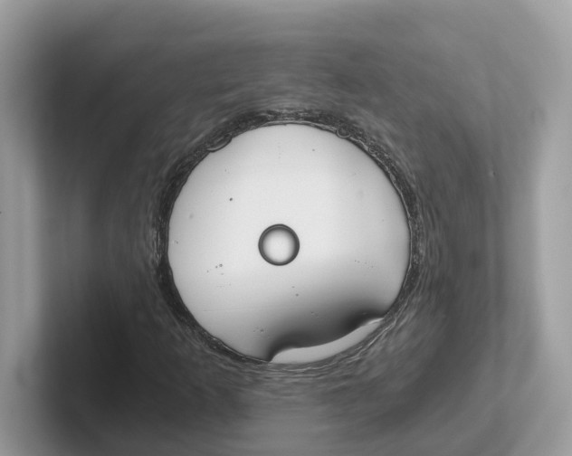 X0000101461253200807280952