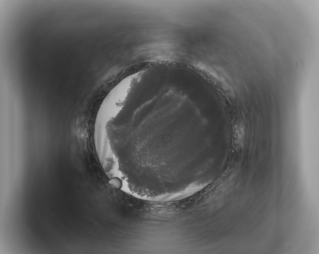 X0000101461254200807280952