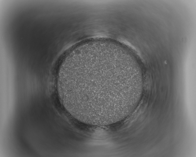 X0000101461255200807280952