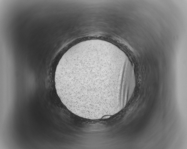 X0000101461256200807280952