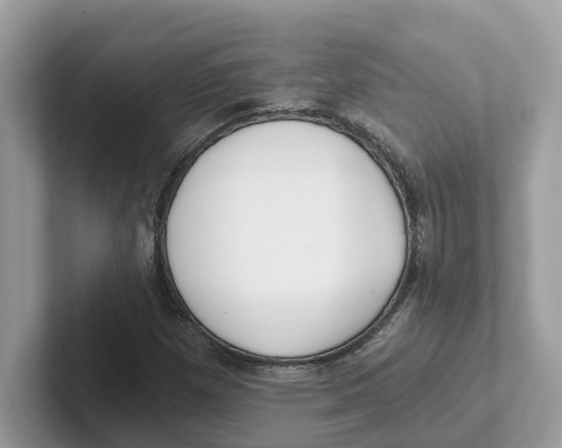 X0000101461257200807280952