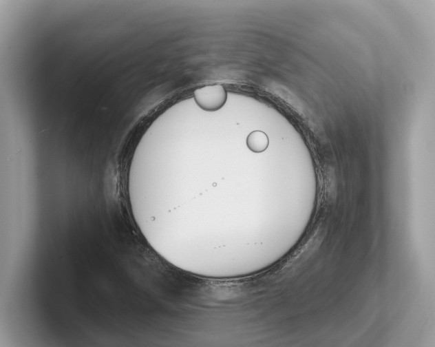 X0000101461258200807280952