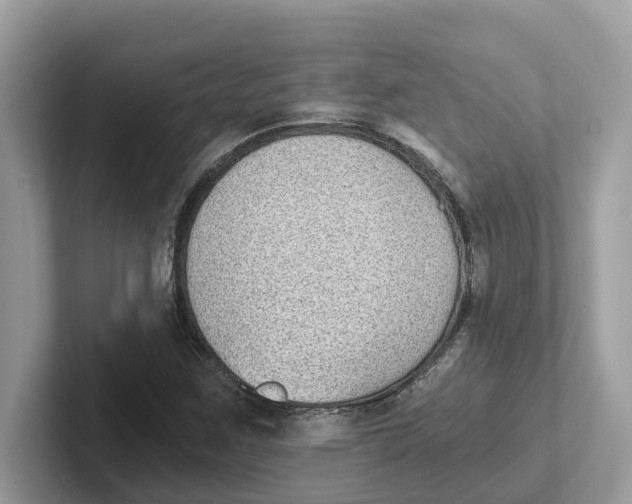 X0000101461259200807280952