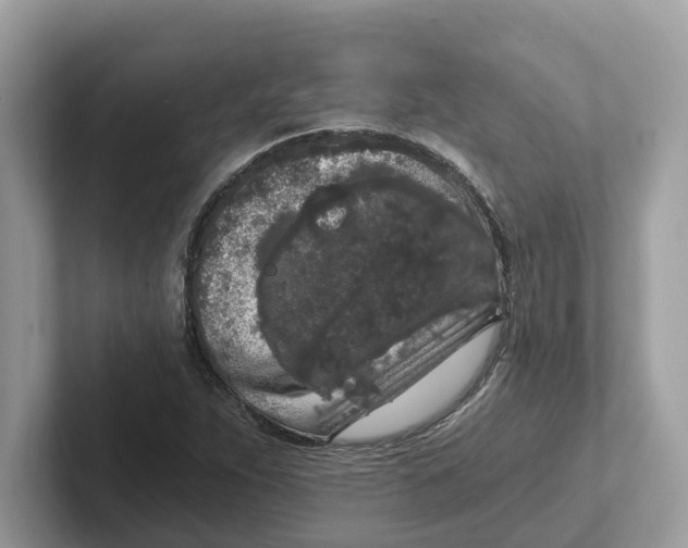 X0000101461263200807280952