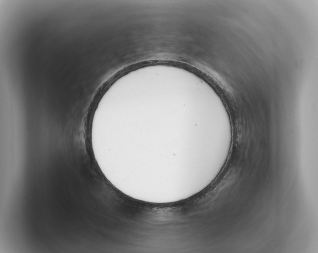 X0000101461264200807280952