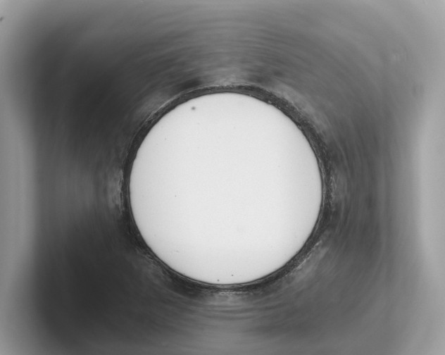 X0000101461265200807280952