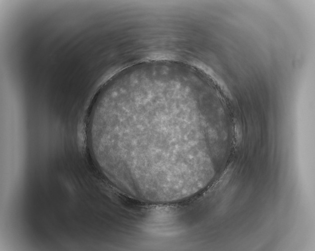 X0000101461266200807280952