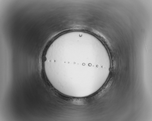 X0000101461267200807280952