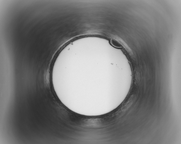 X0000101461268200807280952