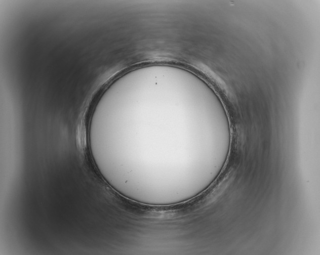 X0000101461269200807280952