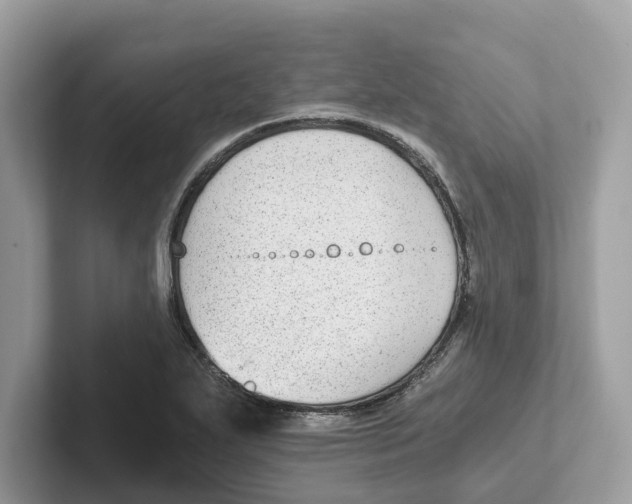 X0000101461271200807280952