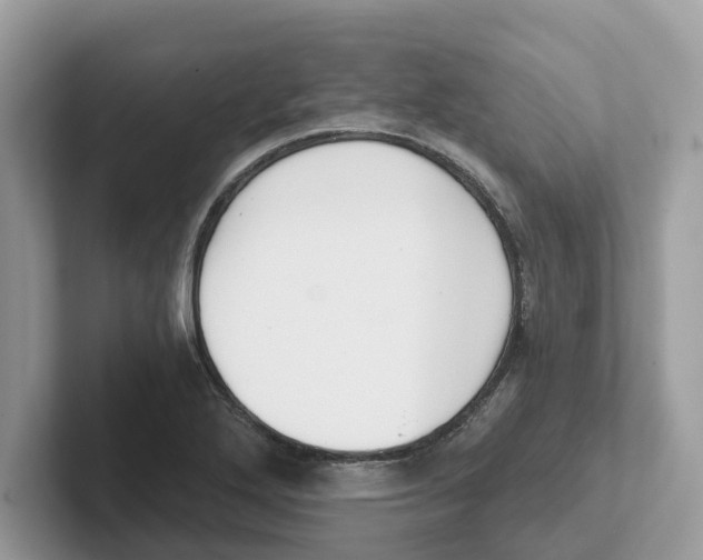 X0000101461272200807280952