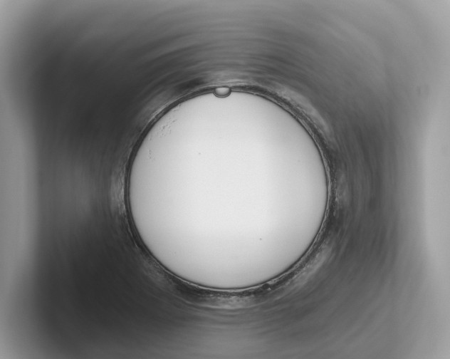 X0000101461273200807280952