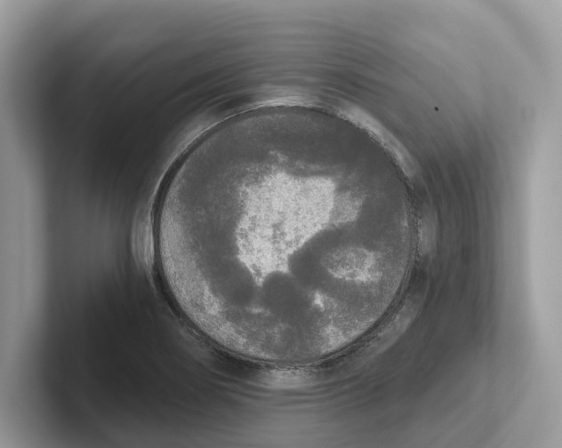 X0000101461274200807280952