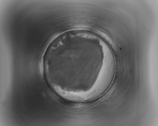 X0000101461275200807280952