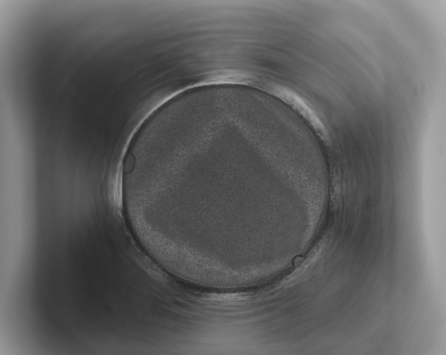 X0000101461276200807280952