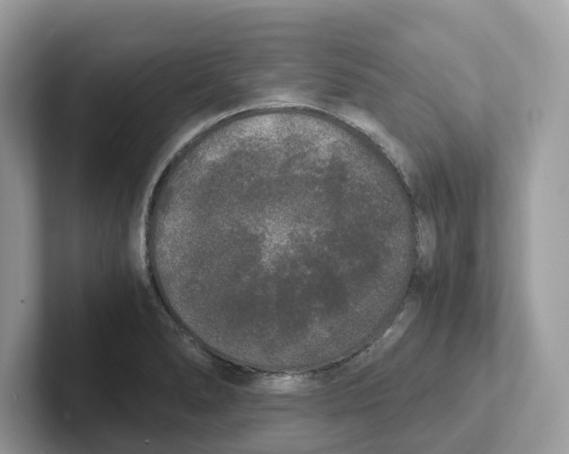 X0000101461278200807280952