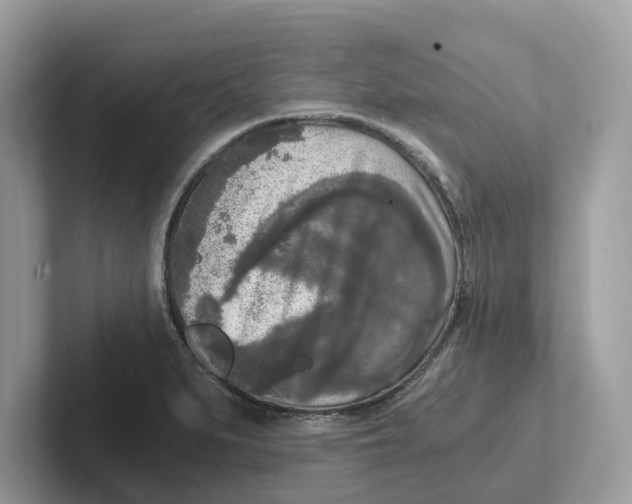 X0000101461279200807280952