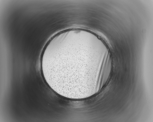 X0000101461280200807280952