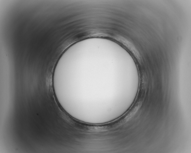 X0000101461281200807280952