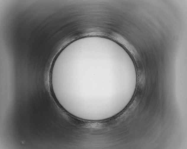 X0000101461282200807280952